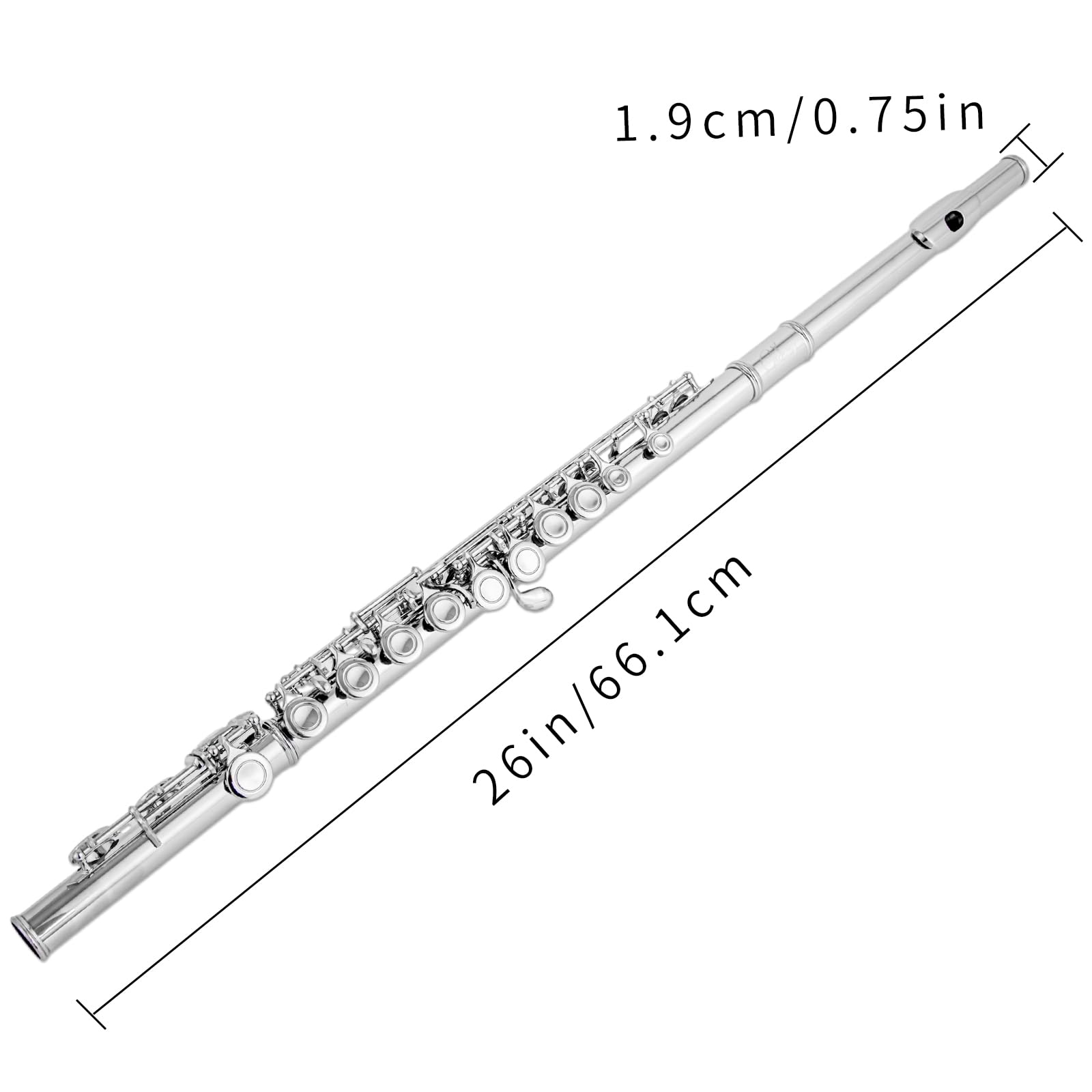 Amazon.com: Aisiweier C Flutes Closed Hole C Flute Musical